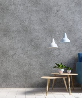 Omaxe The Lake New Chandigarh Interior Decoration